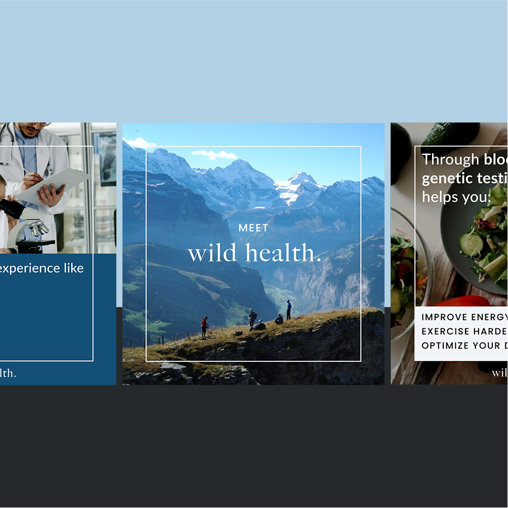 Wild Health